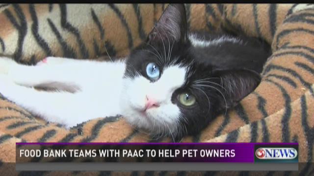 Corpus Christi Food Bank teams up with PAAC to help pet owners - KIII TV3