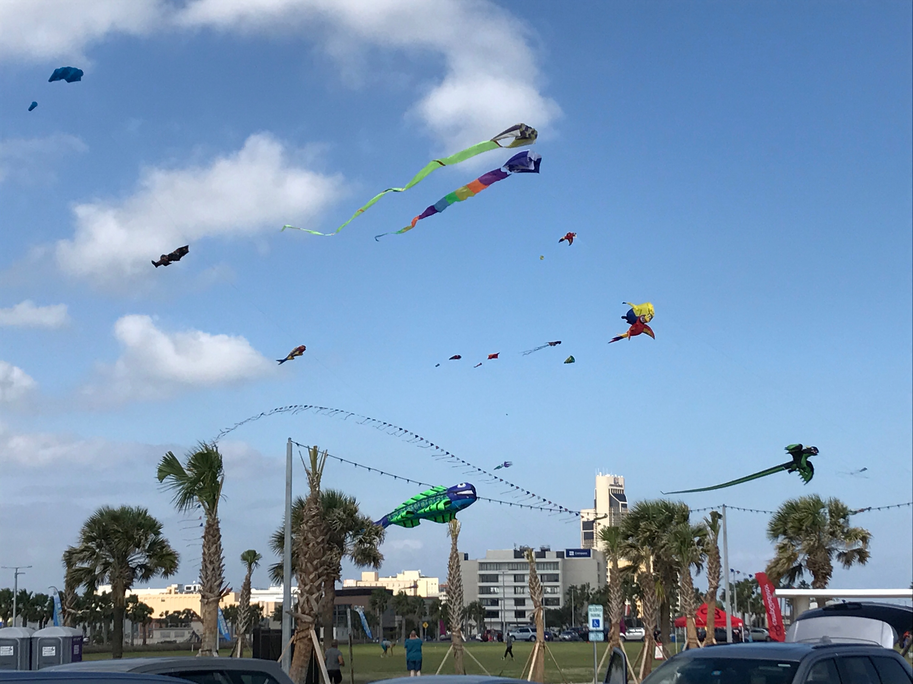 Residents fly Kites and ride Bikes